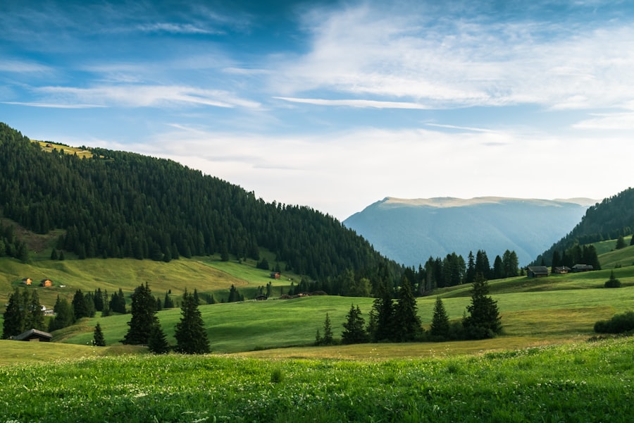 Photo boczek